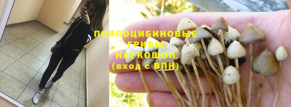 амф Ладушкин