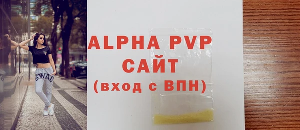 ГАЛЛЮЦИНОГЕННЫЕ ГРИБЫ Корсаков