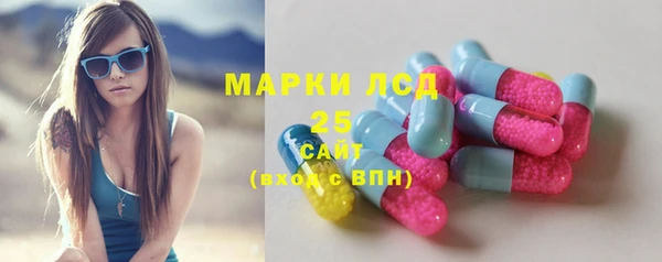 индика Лагань