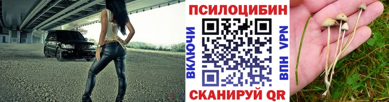 Псилоцибиновые грибы Psilocybe что такое наркотик Лермонтов